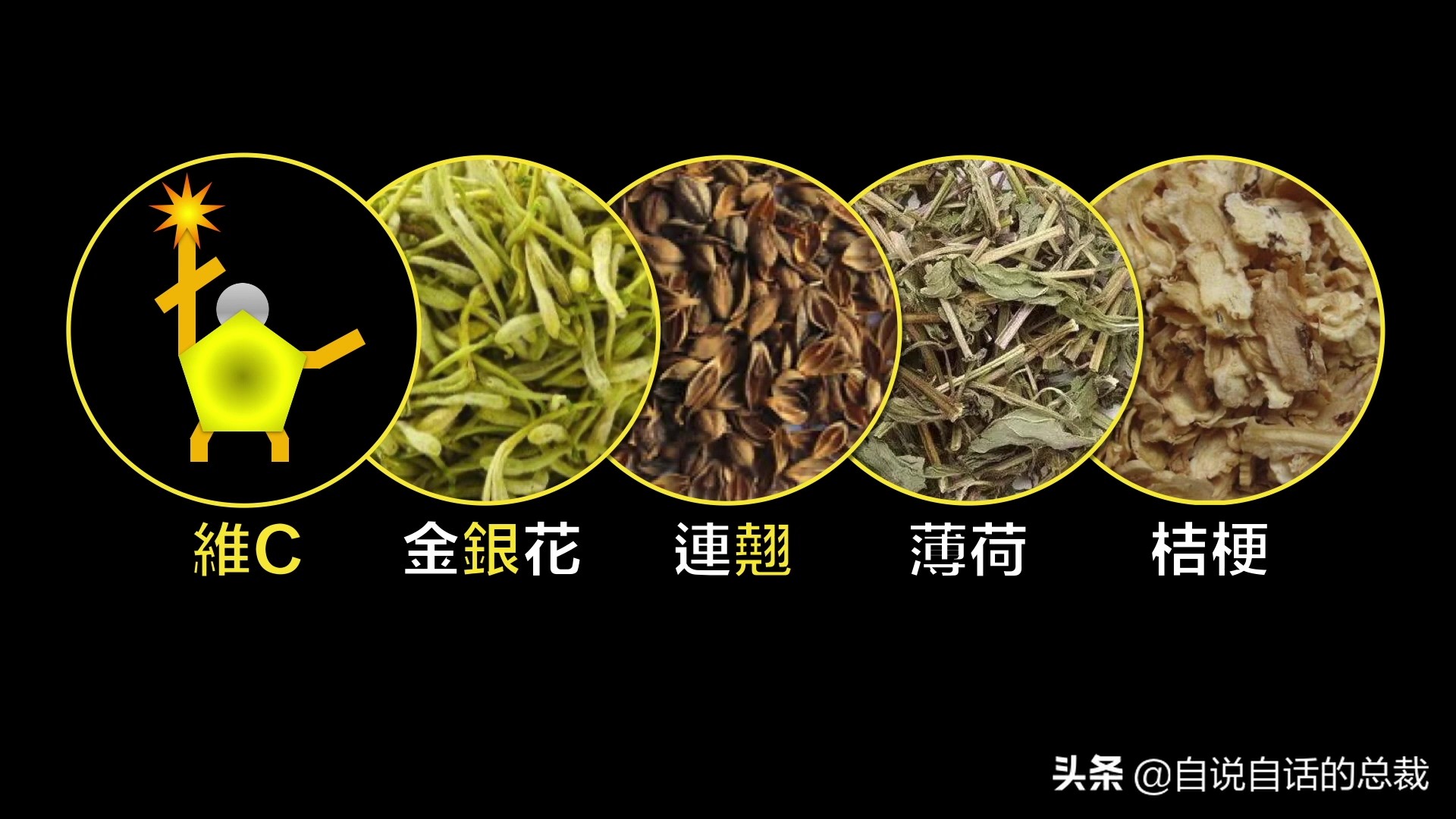 全世界的柠檬都读Lemon?这背后有一个刻在8号染色体上的上古故事