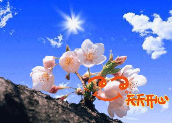 早上最暖心的祝福语真人图片,冬季早上好祝福语简短图片