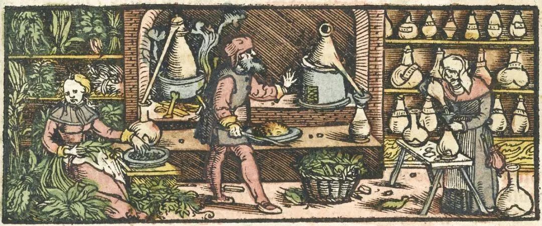 精油到底有用吗有美白的效果吗,薰衣草精油的功效与作用及副作用