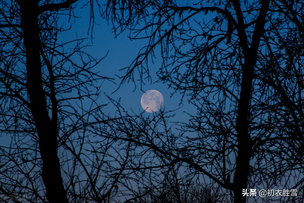 中秋良夜苏轼,苏轼10首经典诗词千里共婵娟