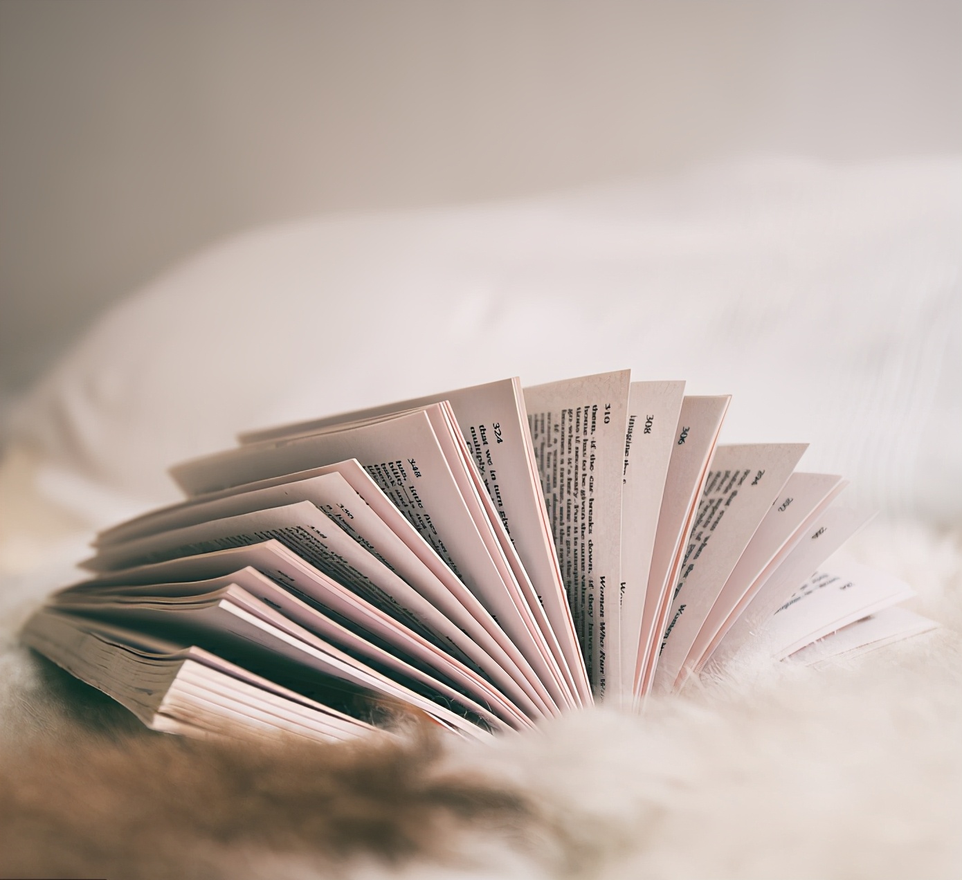 小语种哪个前景最好,小语种对考大学有什么好处