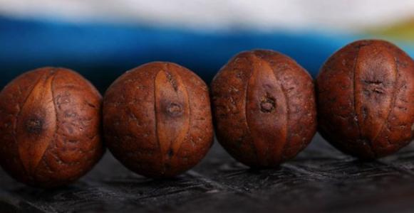 玩菩提三大忌讳,玩凤眼菩提多少颗有什么说法吗