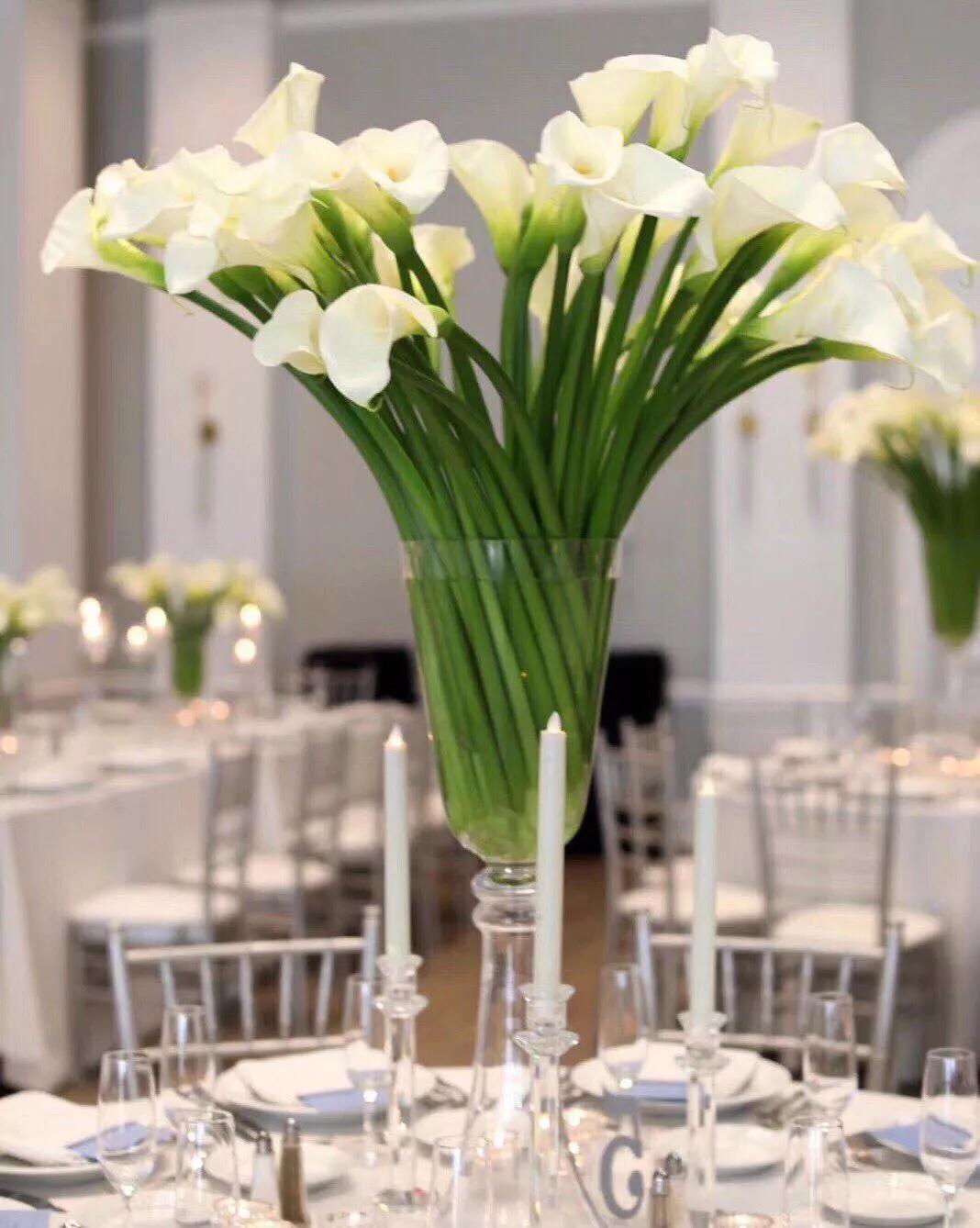 马蹄莲美诗美文,马蹄莲花语胸针