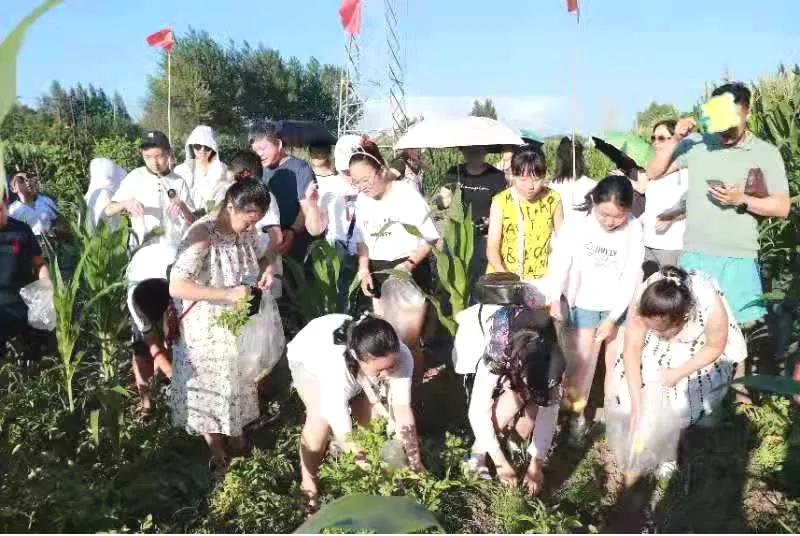 @长春人，这里有您一分田！快来认领！