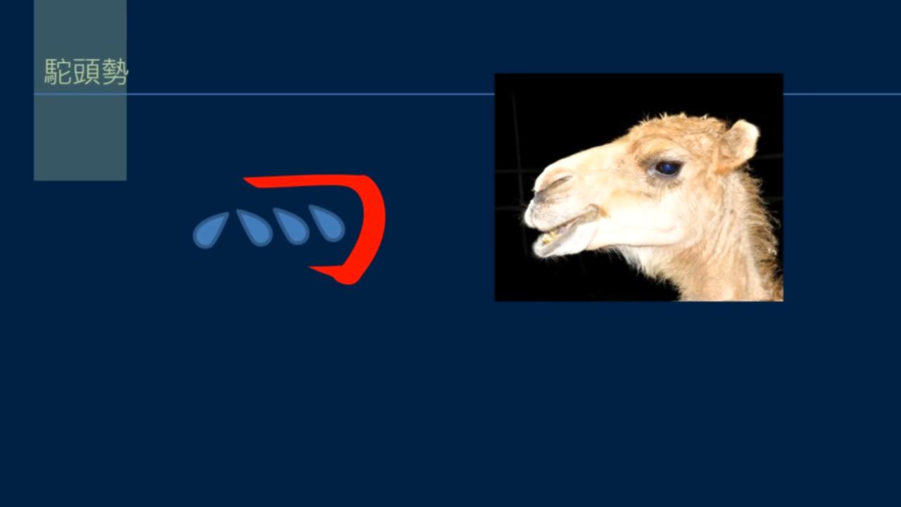 黄简讲书法二级课程35集,黄简讲书法二级课程29集