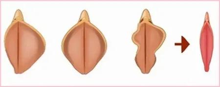 进来了解自己的句子,进来了解下