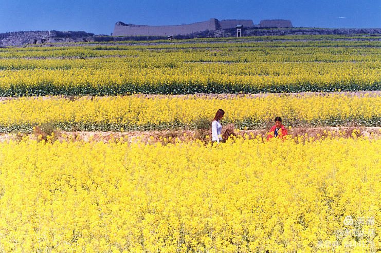 周而复始作品集,周而复始书画