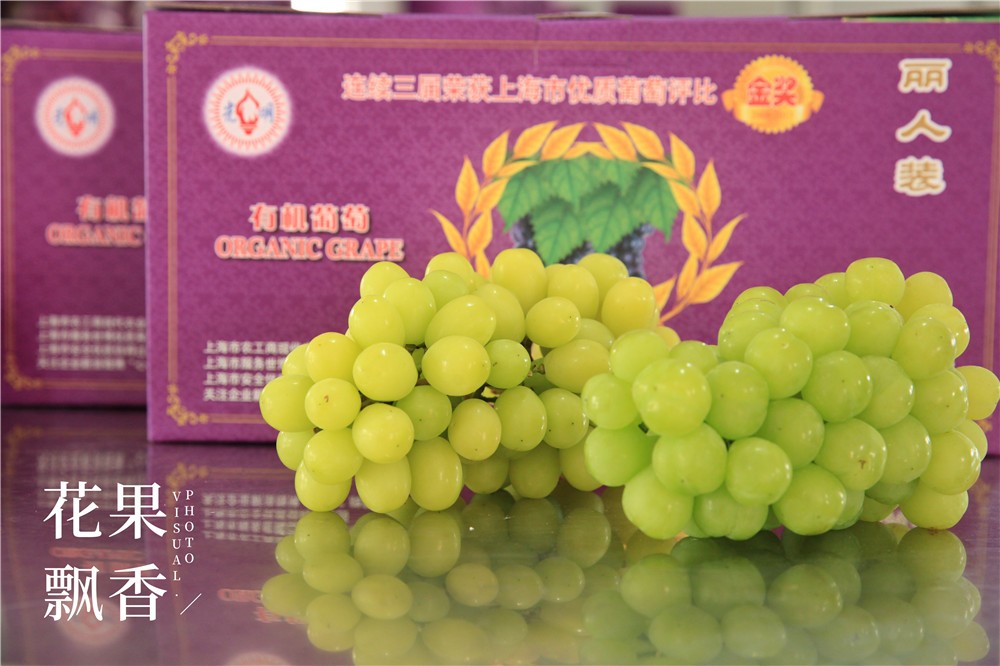 有机农产品的意义,有机的意义