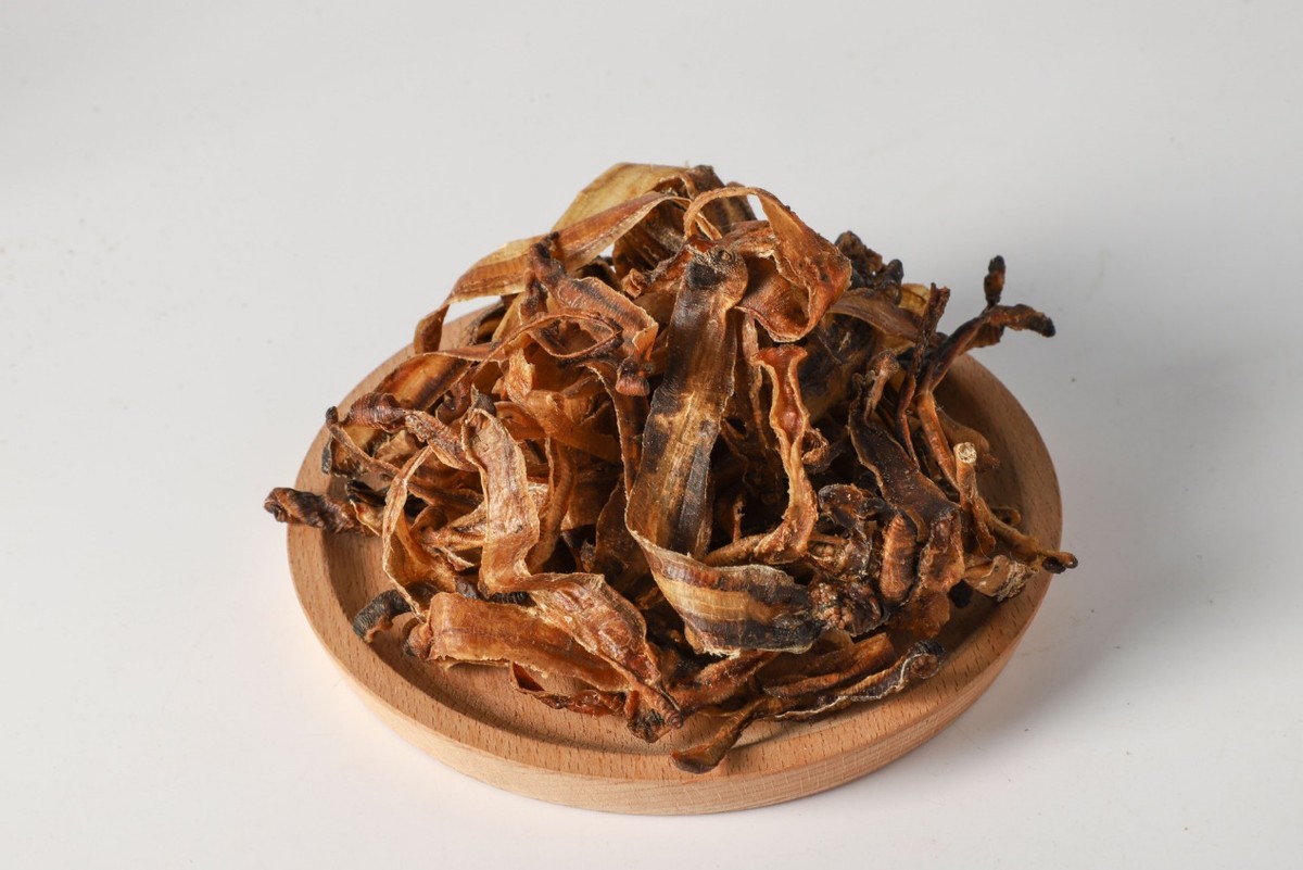 为啥电蚯蚓屡禁不止,电蚯蚓为什么危害环境