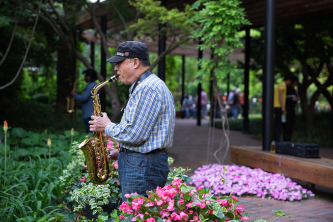 富春湖公园上海,青年湖公园上海