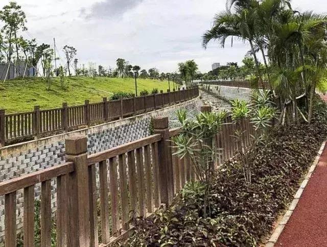 光明这些河流又有新变化,多个好消息密集来报~