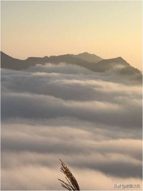 张家界慈利新项目,张家界慈利江垭的新项目