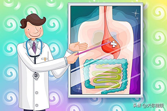 改善胃的最佳食物,如何养胃提高胃的吸收