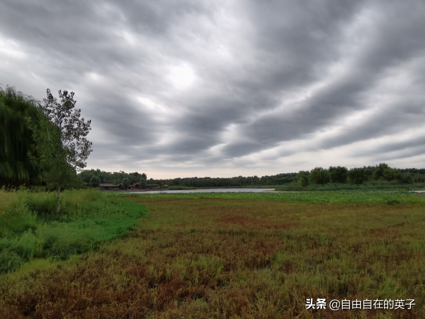 南海子湿地公园攻略,南海子湿地公园分布图