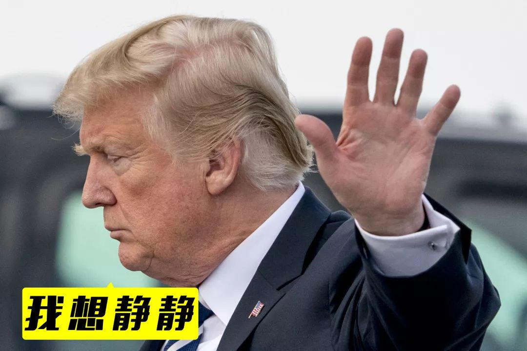 扒经|揭秘汽车“51区”大众如何“*躏蹂**”自我