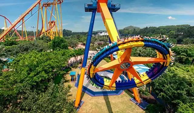 暑假掂过?种草广州长隆野生动物世界!零距离接触动物