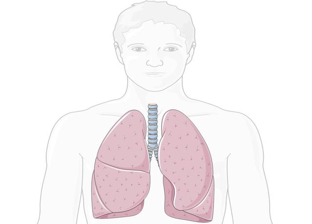 新冠肺炎疫情防控第九版,新冠肺炎疫情防控总方针