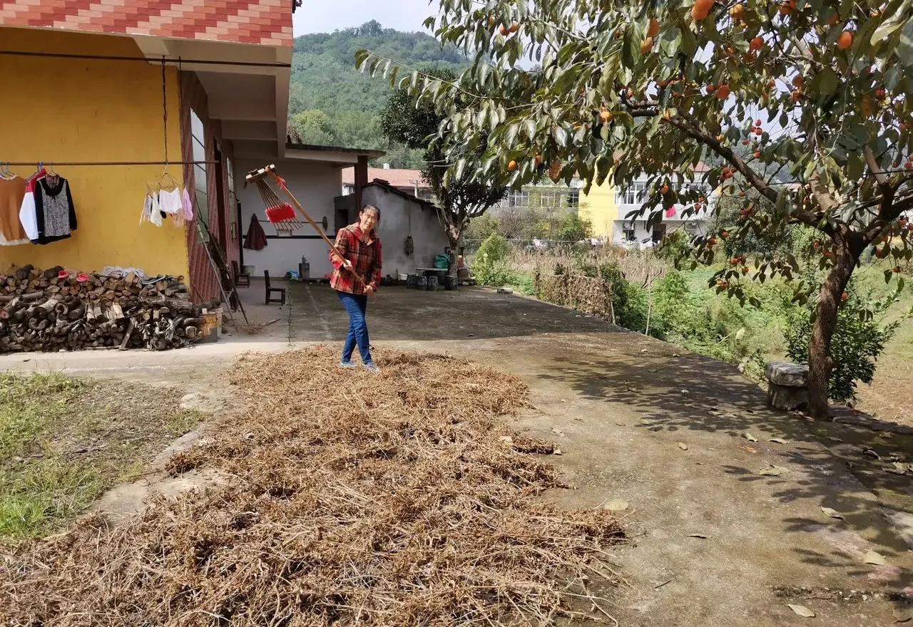 兄弟合伙修的农村房子怎么确权,农村三兄弟合建一栋房子如何确权