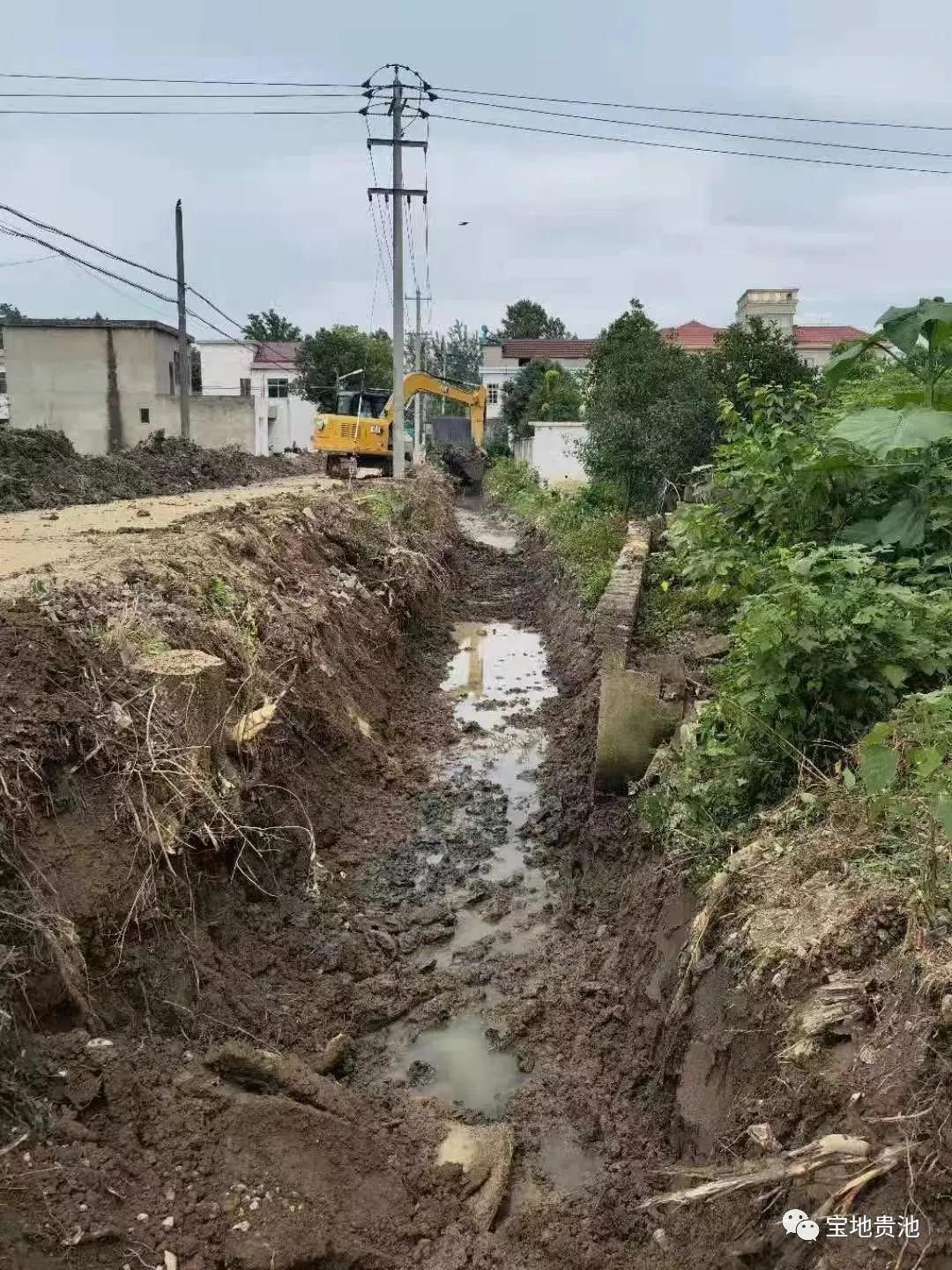 村级集体经济发展经验做法,发展壮大村集体经济思路和想法