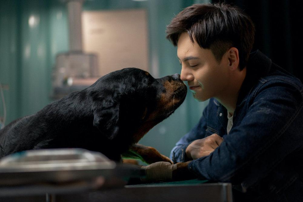 我用两年的收入，买下一个包，然后它降价了