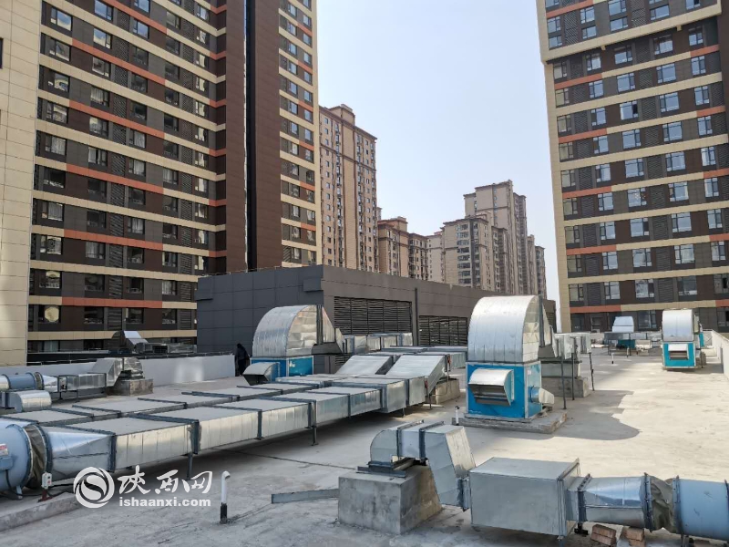 小区绿化作假,绿化造假事件