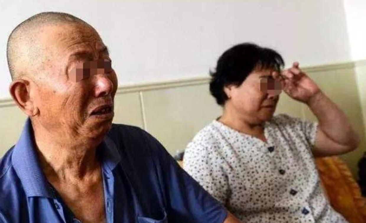 53岁丁克晚年的真实感受,73岁丁克老人现状