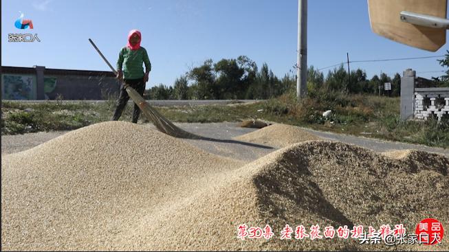 张家口莜面历史,北京人吃莜面是从什么时候开始的