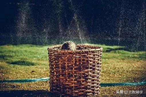 亲子教育青少年叛逆期,亲子教育孩子爱顶嘴