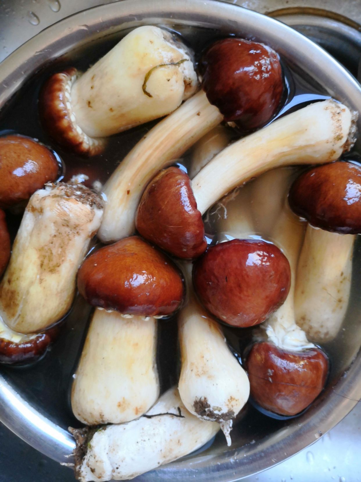 早上吃一口它快速排出多年宿便,它是天然胃药也是血管清道夫