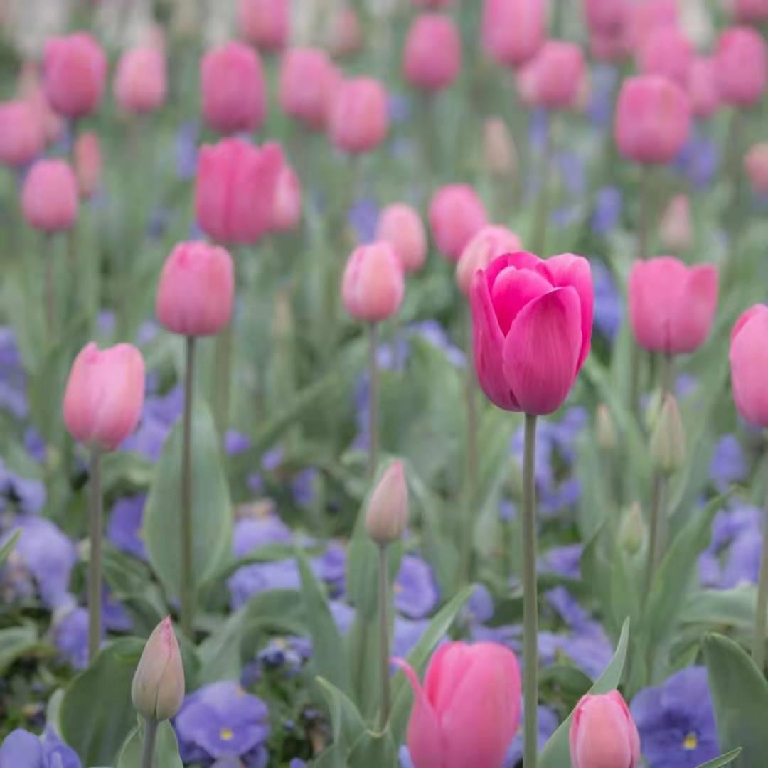 期货小白实战,期货小白课