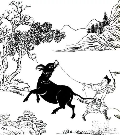 十牧牛图南怀瑾,南怀瑾谈十牛图