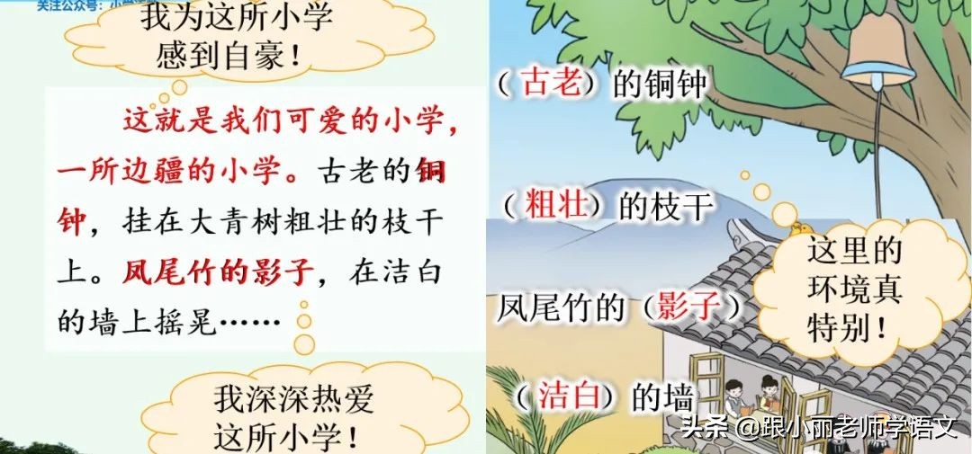 大青树下的小学重要背诵内容,大青树下的小学重点知识点