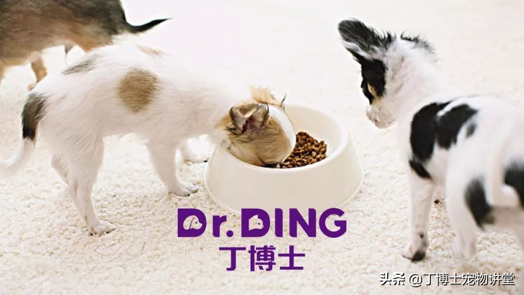 宠物膨化食品加工工艺,宠物食品的生产流程