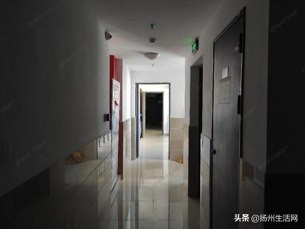 实探烂尾楼,实探被曝光