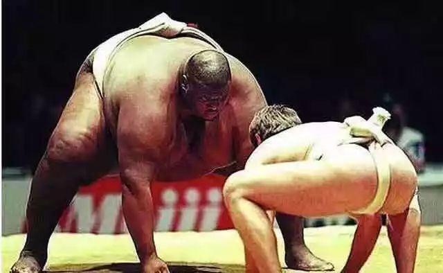 为什么日本人喜欢看两个胖胖“打架”？