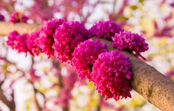 健康咒语每天三遍身体越来越好,疗愈身体的神奇音乐完整版