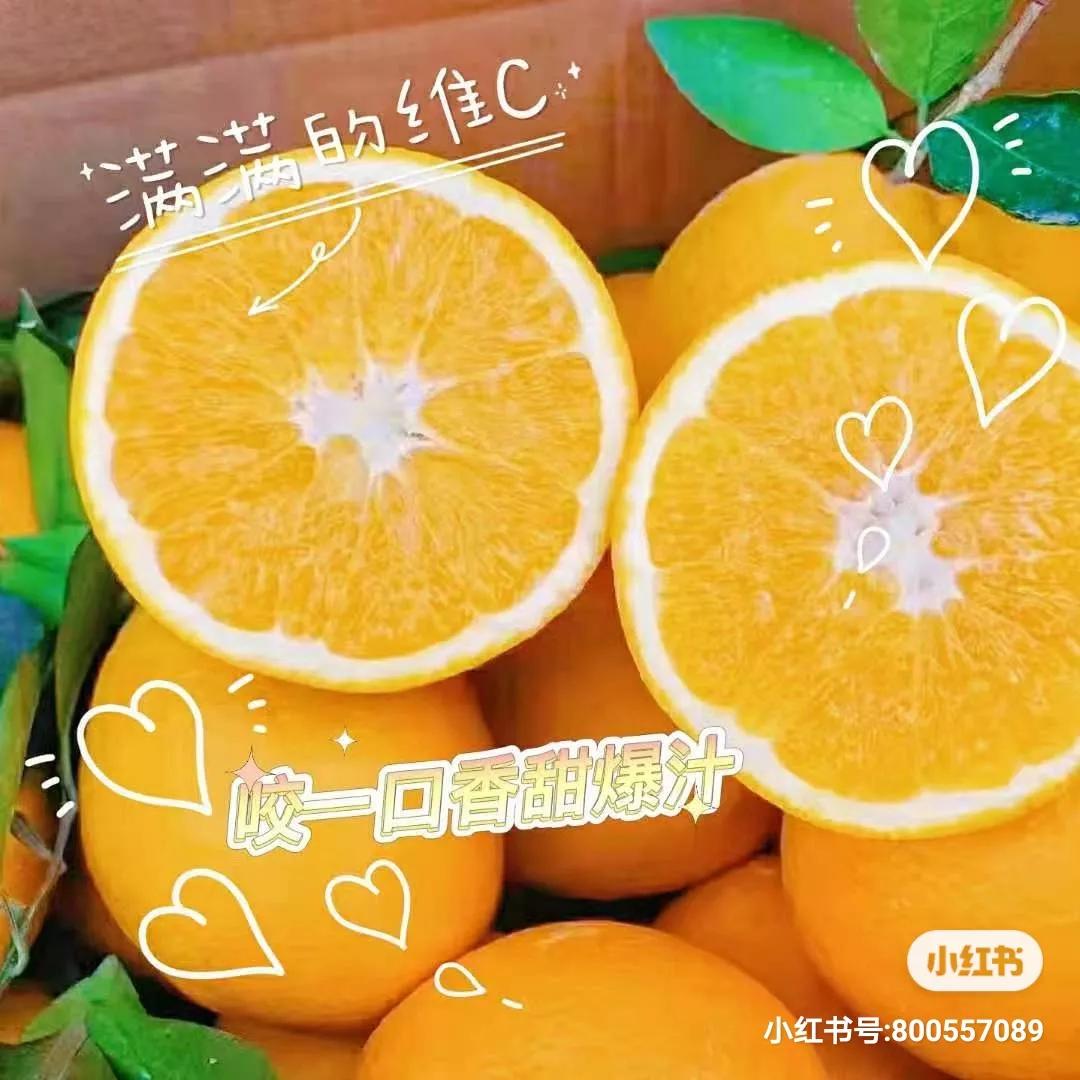 走进赣南脐橙,附近的赣南脐橙