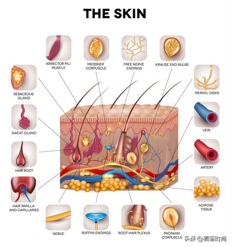 五种可以让头发长得快的秘诀,怎样把短头发扎成长头发