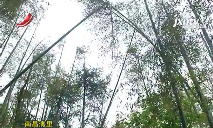 两兄弟被困,江西南昌兄弟俩