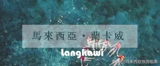 建议在哪里拿潜水证,如何免费学习潜水证