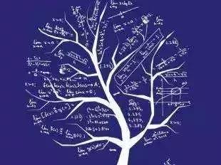 教育部取消大学本科专业名单,国家级一流本科专业详细名单