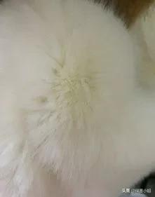 冬季必备派克服寒冬变暖冬,派克服可以在多冷的地方穿