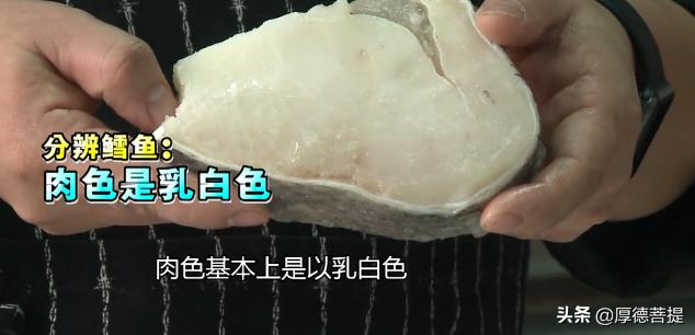 我们买到的鳕鱼是什么鳕鱼,我们买的鳕鱼为什么没头