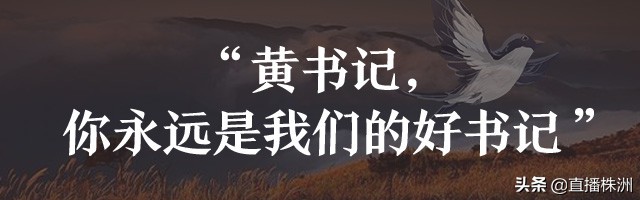 待到山花烂漫时诗文,待到山花烂漫时革命英烈