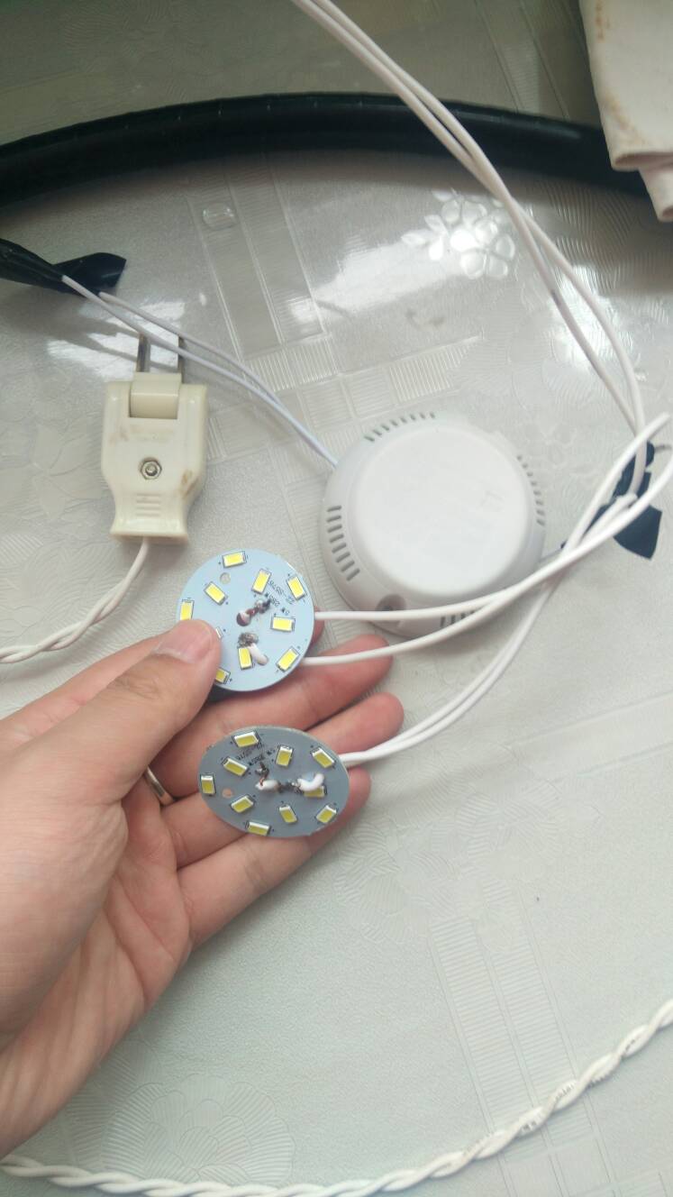 沼泽过滤鱼缸怎么开缸,沼泽缸开缸教程