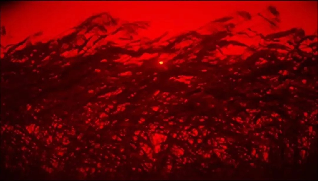 悦读文摘莫言经典语录,悦读莫言