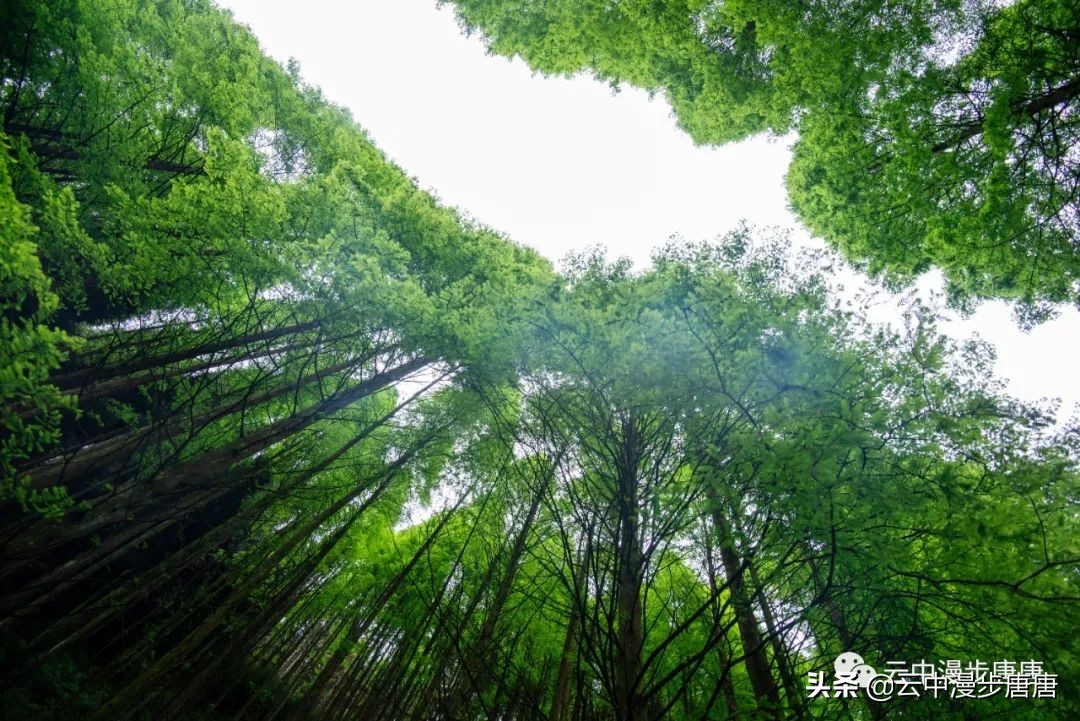 什邡蓥华大峡谷漂流还有什么玩的,九龙溪漂流和蓥华大峡谷漂流