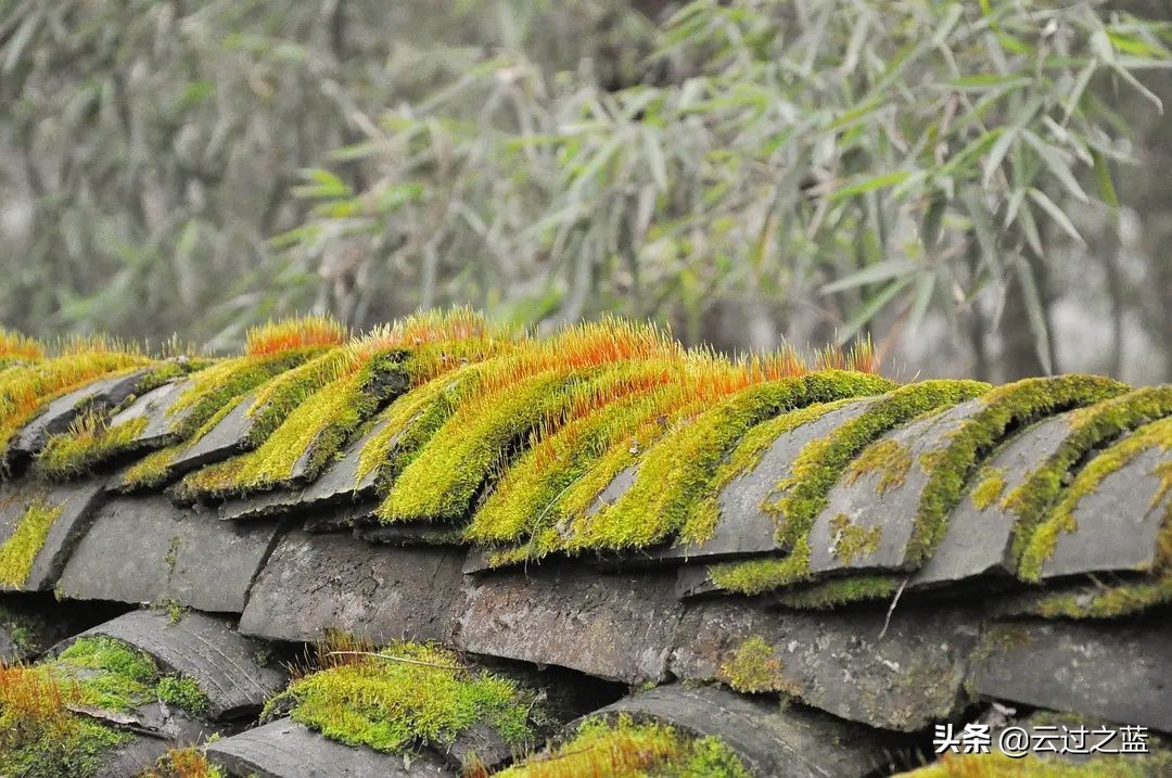 易经未来5年的趋势,易经说未来10年