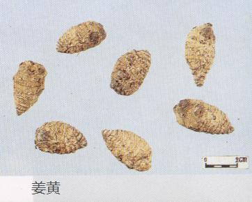 怎样辨别三七真假最简单的方法,真假三七粉如何辨别