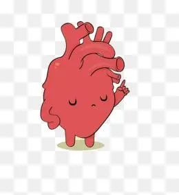 心脏彩超检查您了解吗,心脏彩超查的是胸吗